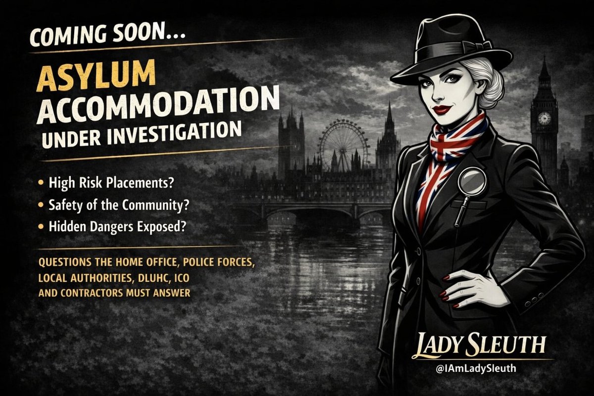 Lady Sleuth tweet media