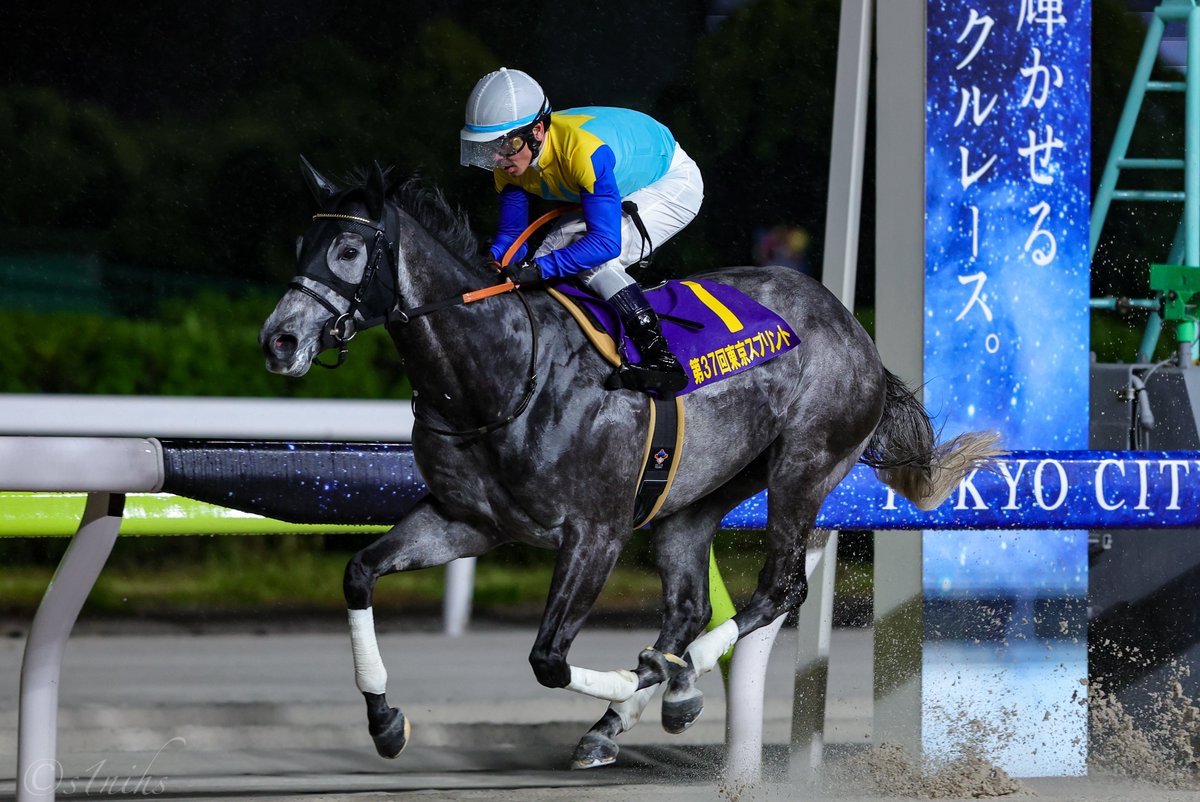 S1✈️ tweet media