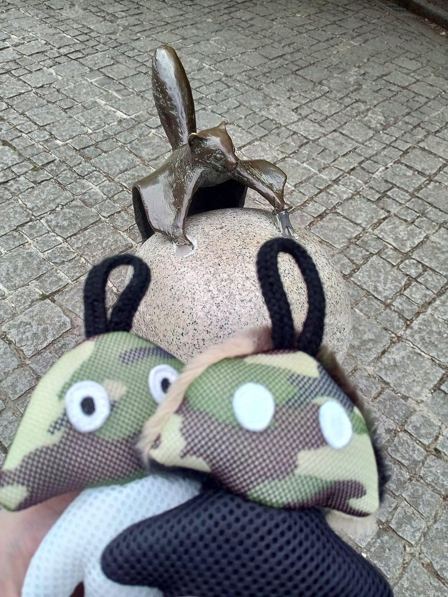 Monone417's tweet photo. 🥽随分久しぶりに来たな、高尾山⛰️
🧟‍♂️ﾔﾏｧ
🪖駅近の施設には行った事があったですな
🥽山自体には登った事ないけど、街から離れて自然を感じるのもやっぱ良いよね🏞
🧟‍♂️ゔｧｹ
🪖今度はトレランでもしてからガッツリと蒸されに来るであります
🥽🧟‍♂️(°∀°)ﾋｨｨｨｨ
#TAKAO36SAUNA  #BSH  #サウォッチ https://t.co/VIkoJjU7YI