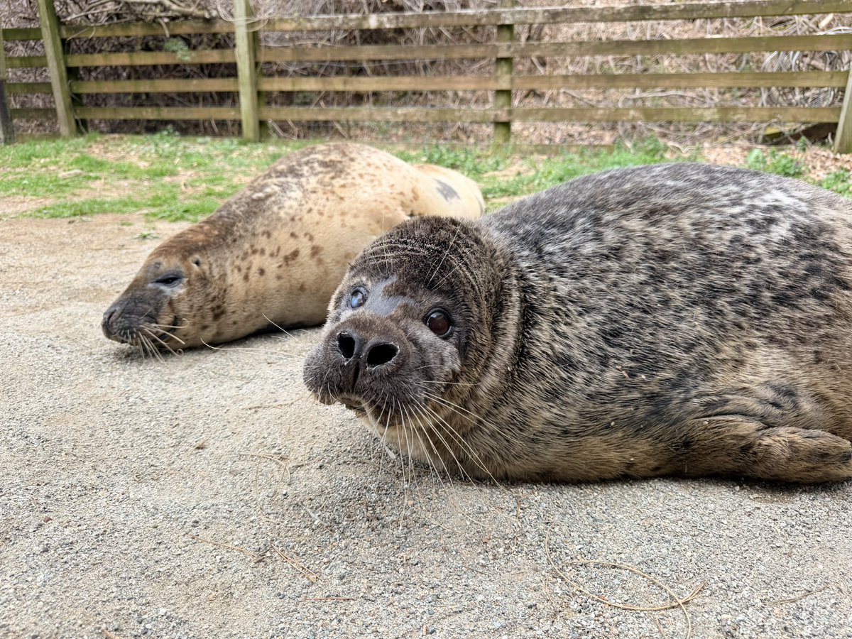 那須どうぶつ王国 tweet media