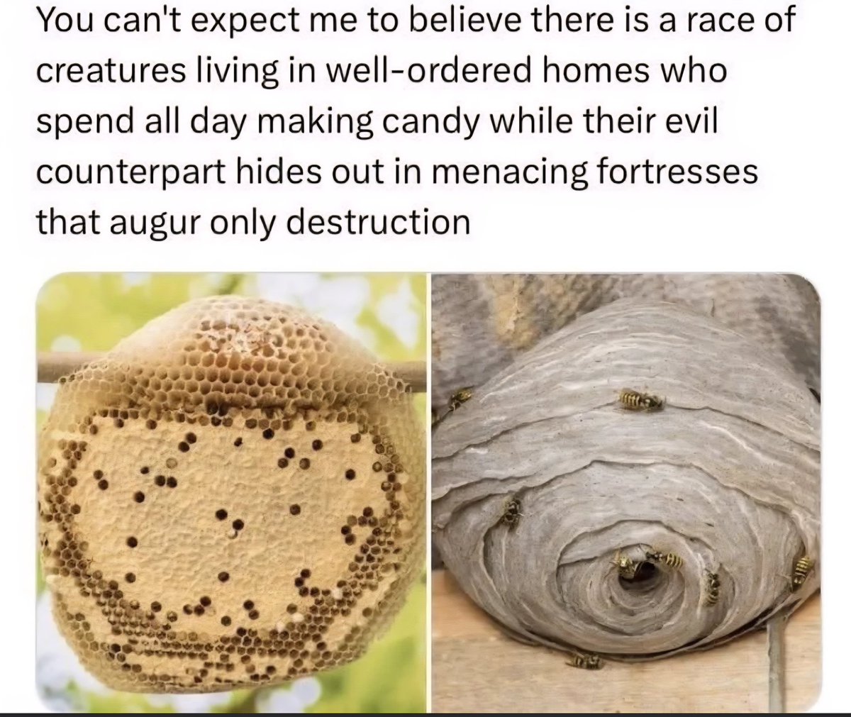 AlexJayZA's tweet image. Duality. 
#WildWednesday