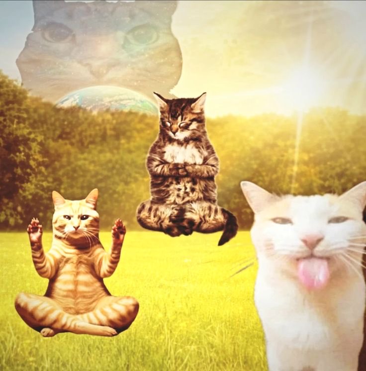 صباح اليوم الي ما تداوم فيه