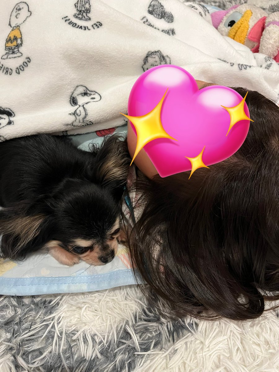 P&C ジロー🧔🏻‍♀️ tweet media