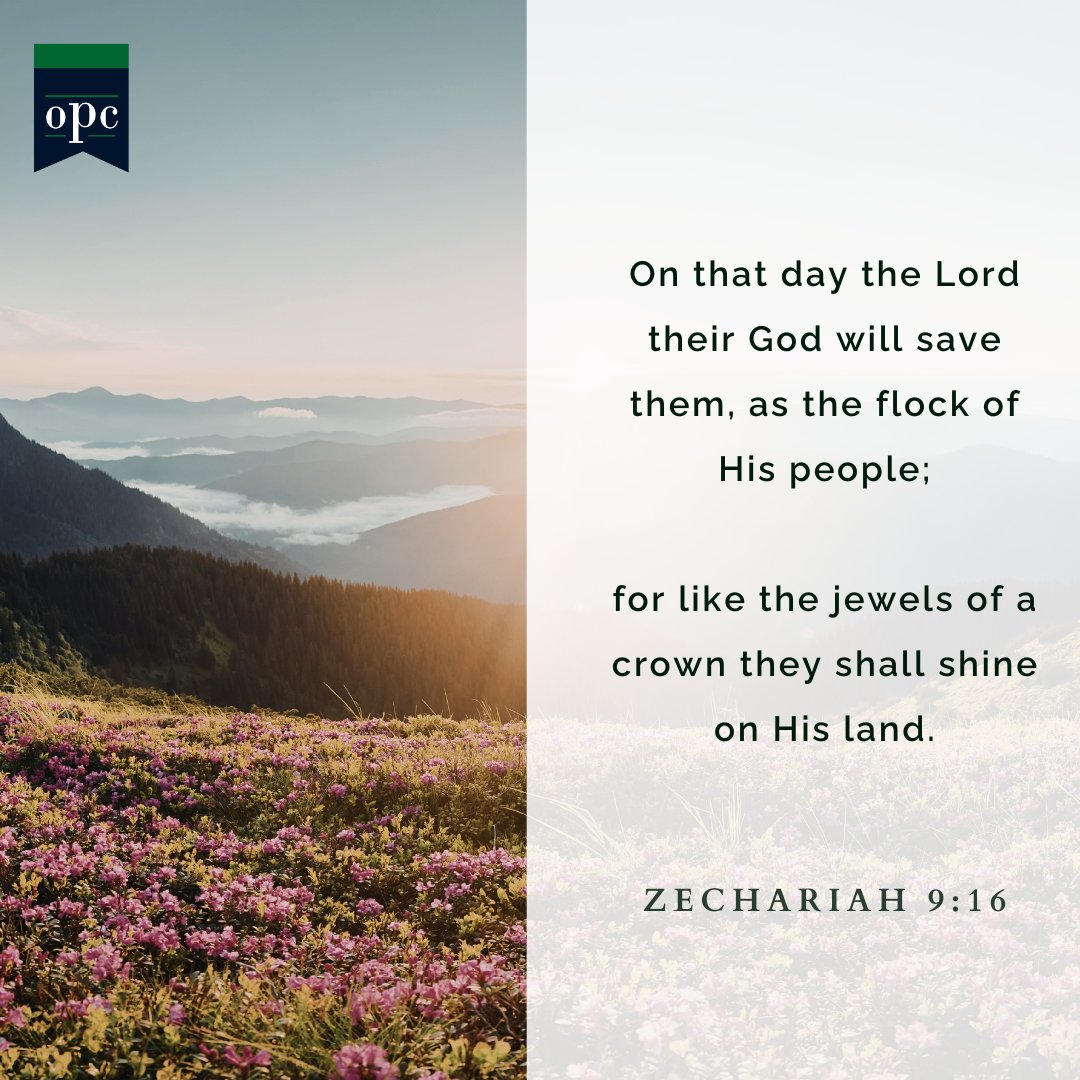 OPC | Orthodox Presbyterian Church tweet media