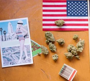 Cannabis and Cannabinoid Research Journal tweet media
