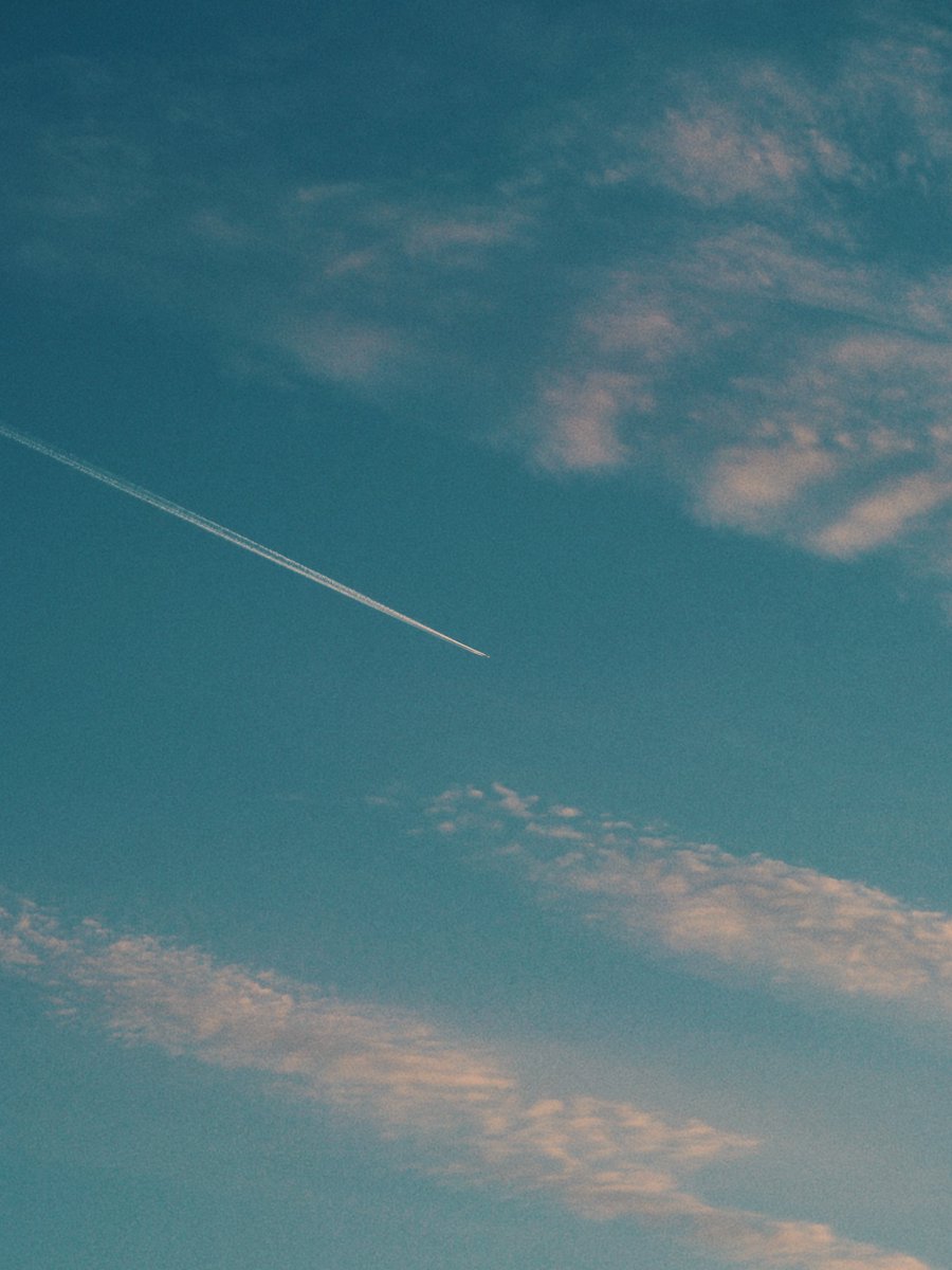 ᴍᴏᴏɴʟʏ tweet media