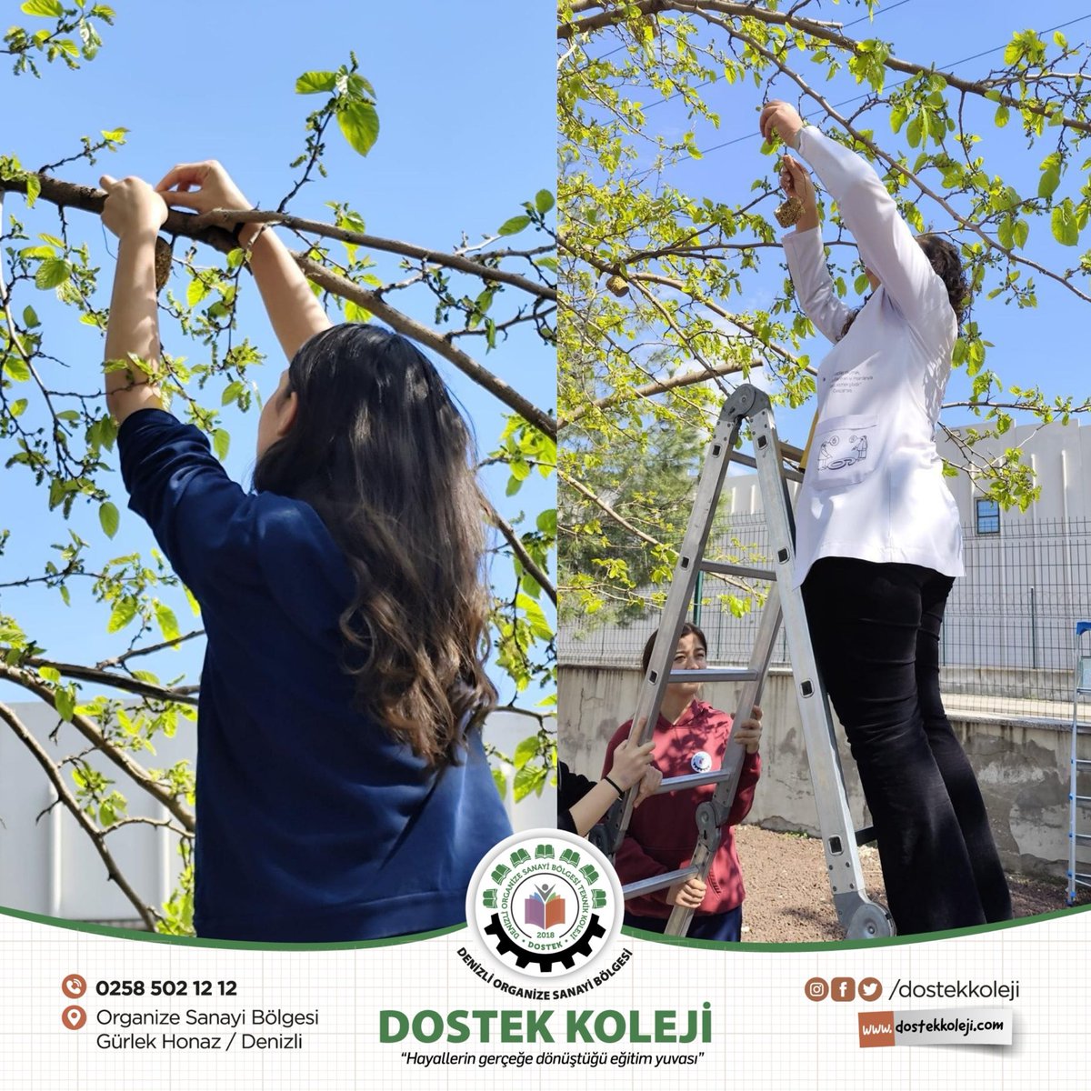 dostekkoleji's tweet image. Öğrencilerimiz, sosyal sorumluluk projesi kapsamında can dostlarımız için doğal yemlikler hazırladı.

#dostek #dostekkoleji #denizliosb #candostlar #sosyalsorumluluk