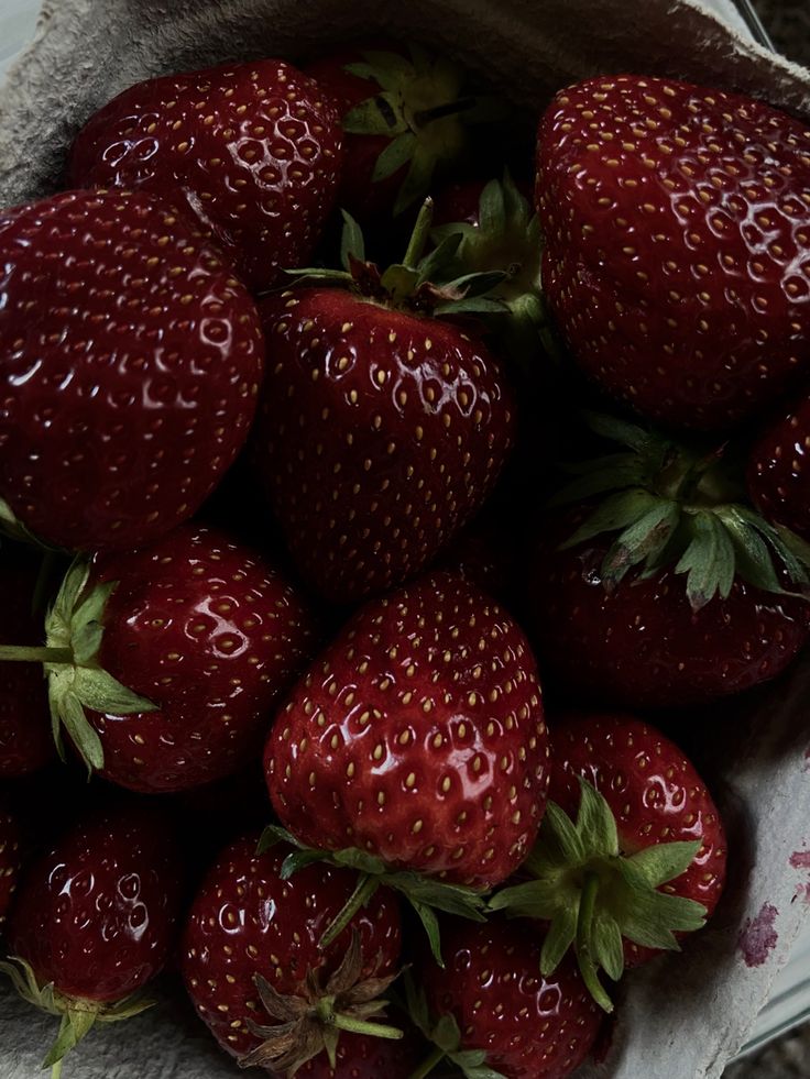 𝑙𝑦𝑟𝑎 tweet media