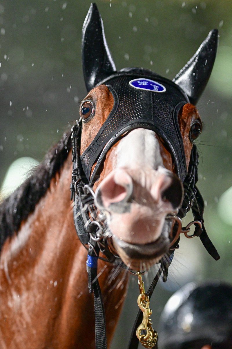 うなちまる tweet media