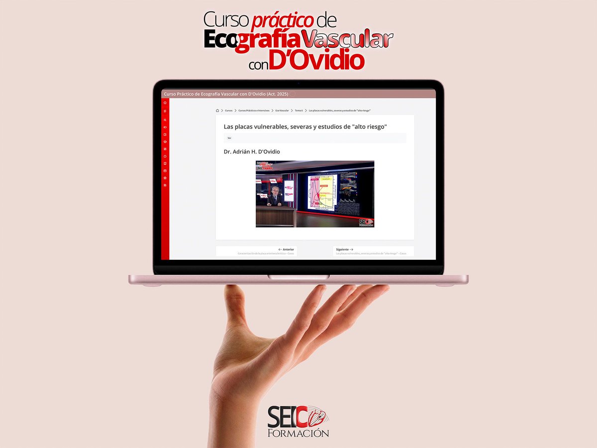 SEIC Formación tweet media