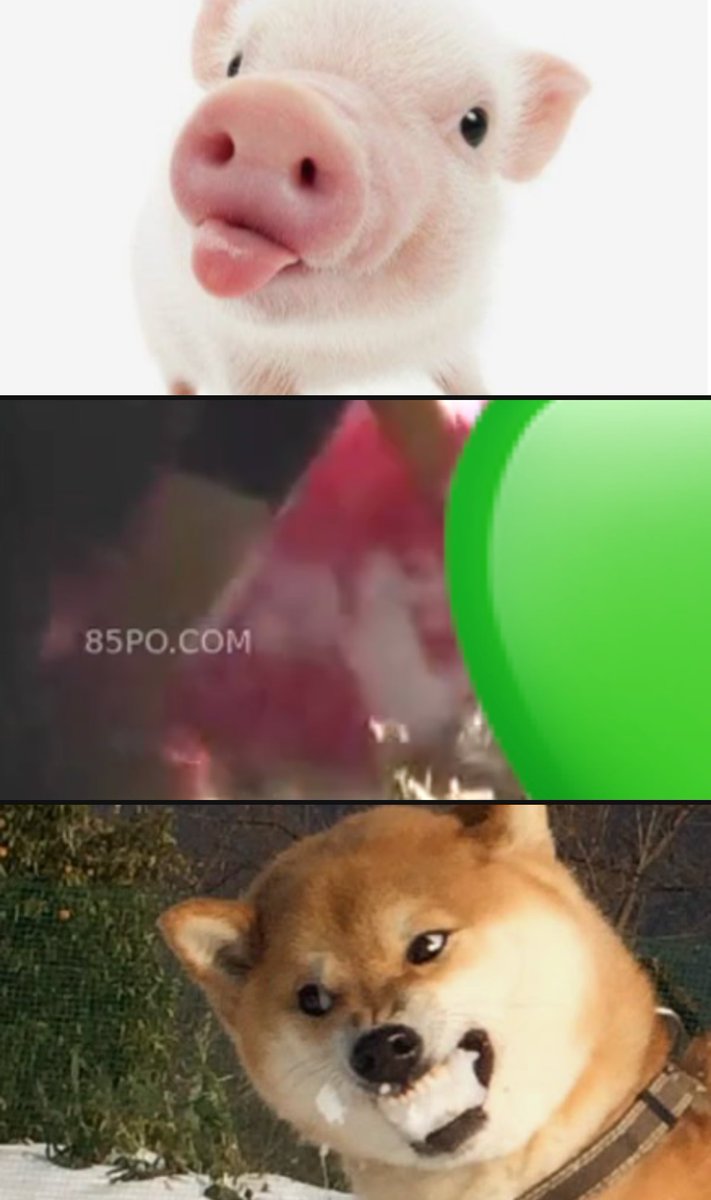 ふにゃ tweet media