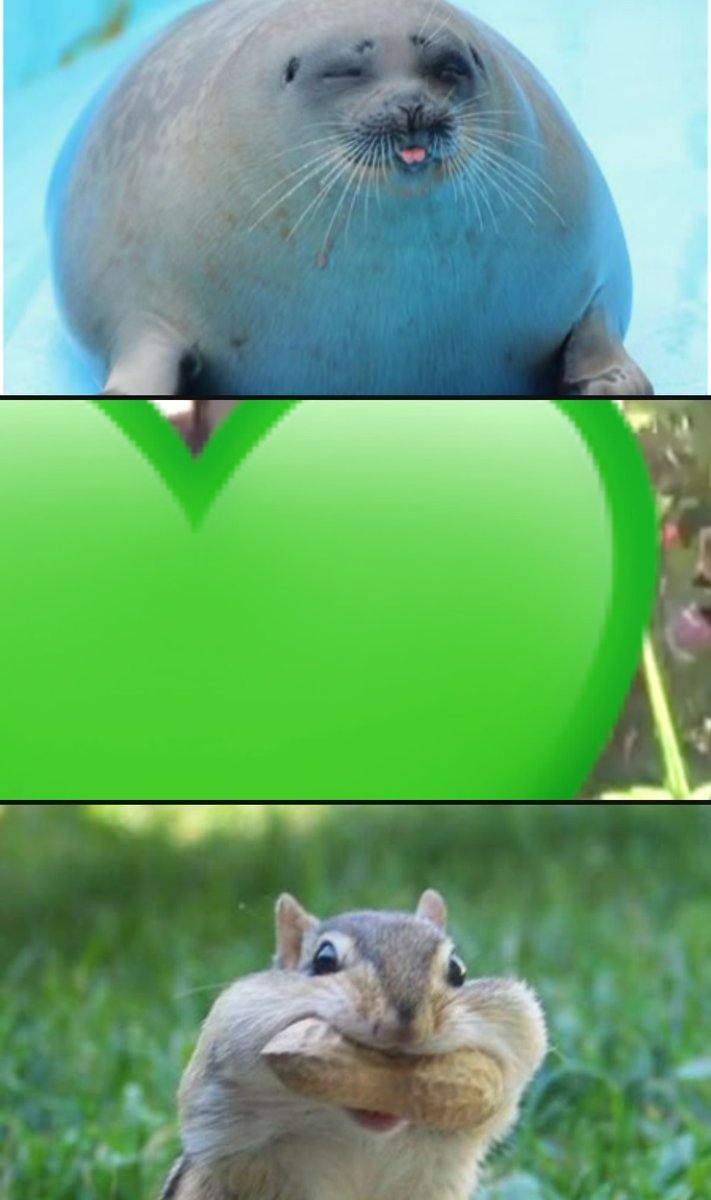 ふにゃ tweet media