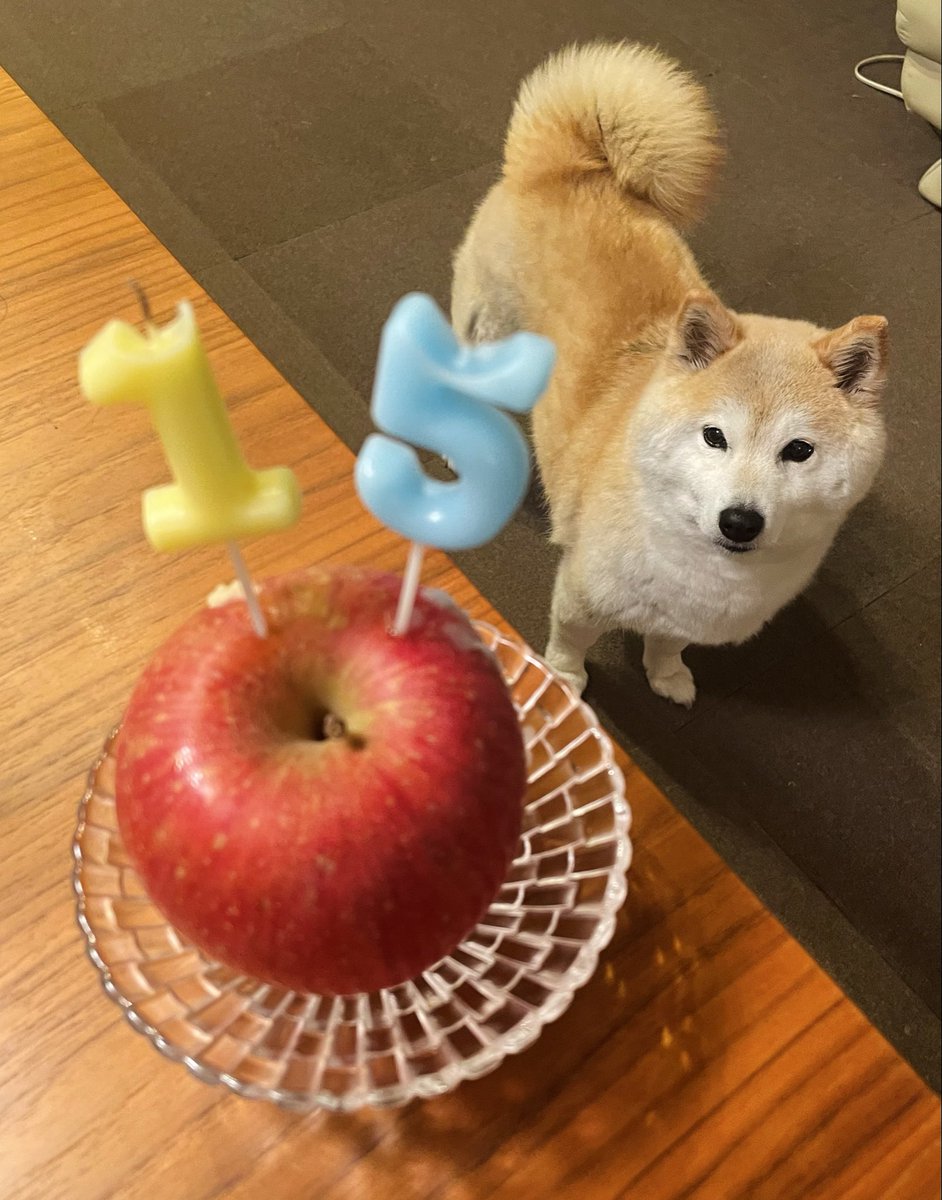 satosanpo tweet media