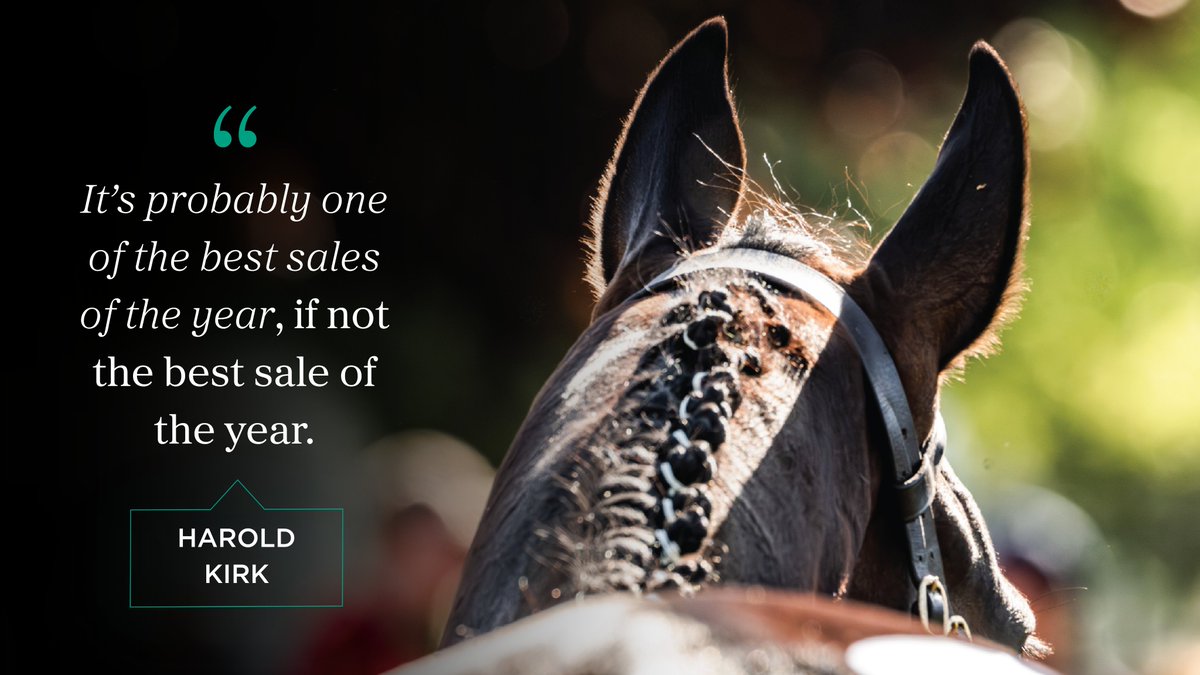 𝗘𝗻𝘁𝗲𝗿 𝗡𝗼𝘄 𝗳𝗼𝗿 𝘁𝗵𝗲 𝗪𝗼𝗿𝗹𝗱’𝘀 𝗹𝗮𝗿𝗴𝗲𝘀𝘁 𝗡𝗛 𝗛𝗜𝗧/𝗣𝗧𝗣 𝗦𝗮𝗹𝗲

🔗: tinyurl.com/585b85bj

#GoffsSpring | 20 - 21 May