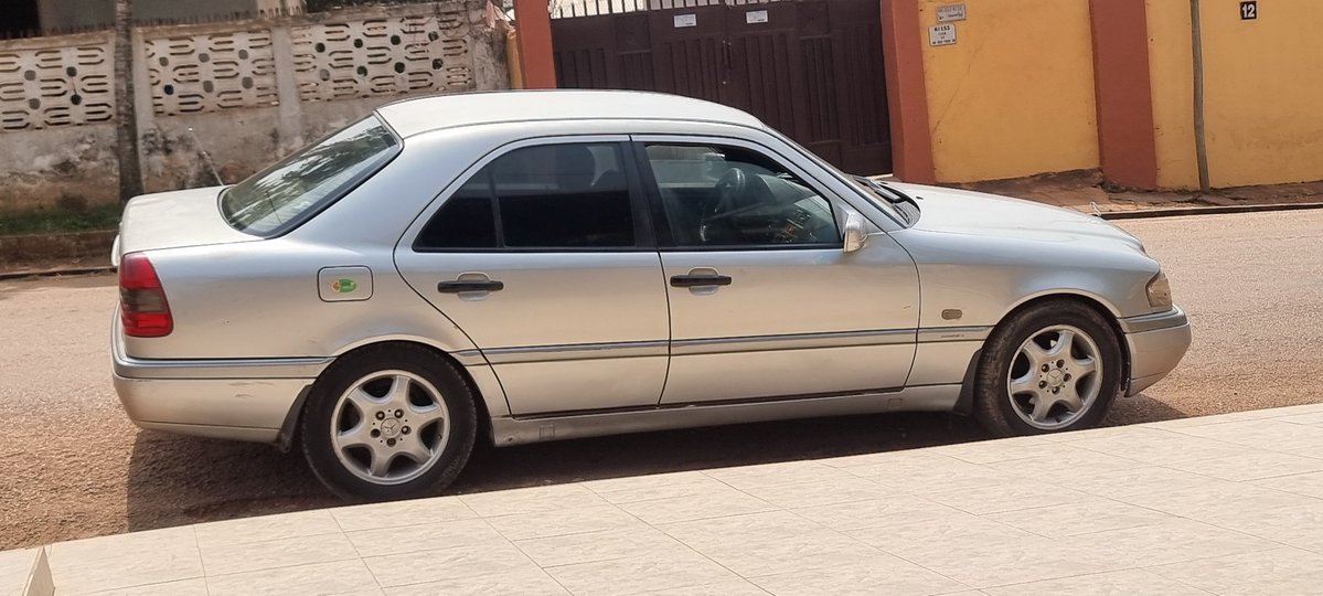 DomiNICK tweet media