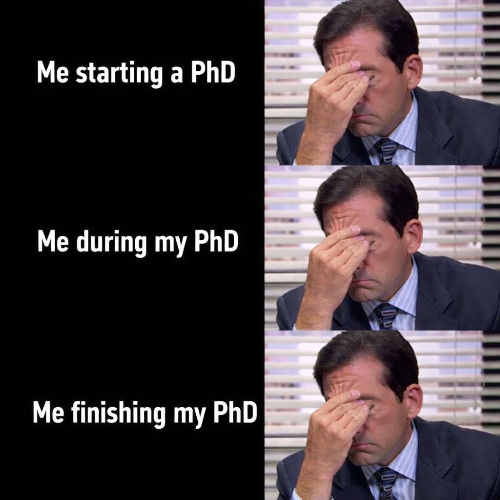 Scholarship for PhD (@scholarshipfphd) on Twitter photo 