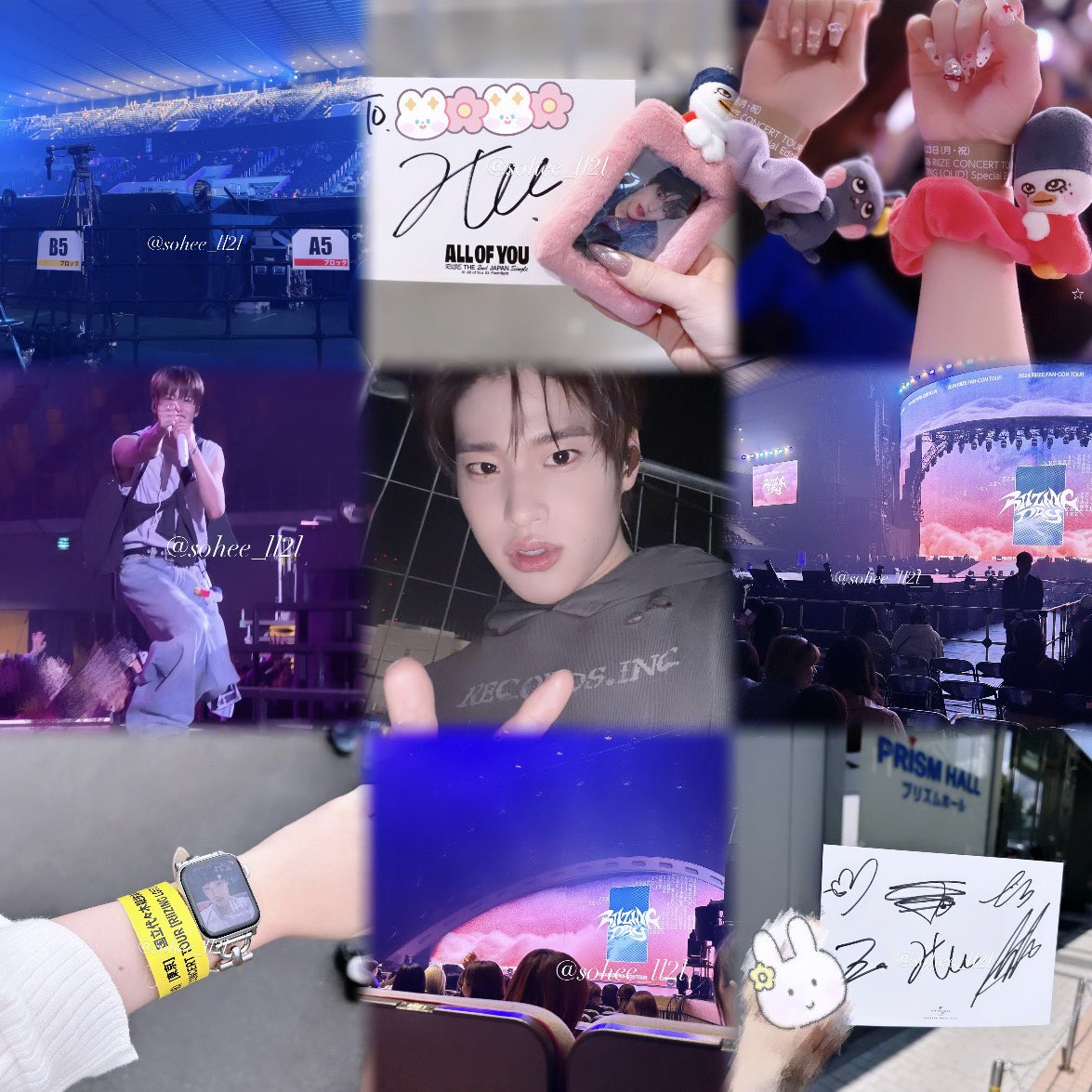 252🪽🩵 tweet media