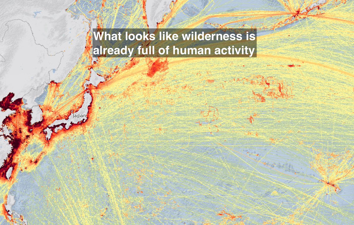 LewisPughFDN's tweet photo. Most of the ocean isn’t empty anymore.  

Ship traffic, tracked using AIS signals.  

We are everywhere.  

Antarctica is still different.  

That’s why protecting the Southern Ocean matters.

@AntarcticaSouth #Antarctica2030 #CCAMLR #HighSeasTreaty @WWF_Antarctica #Antarctica 

Source: Global Maritime Traffic Density Service (AIS data)