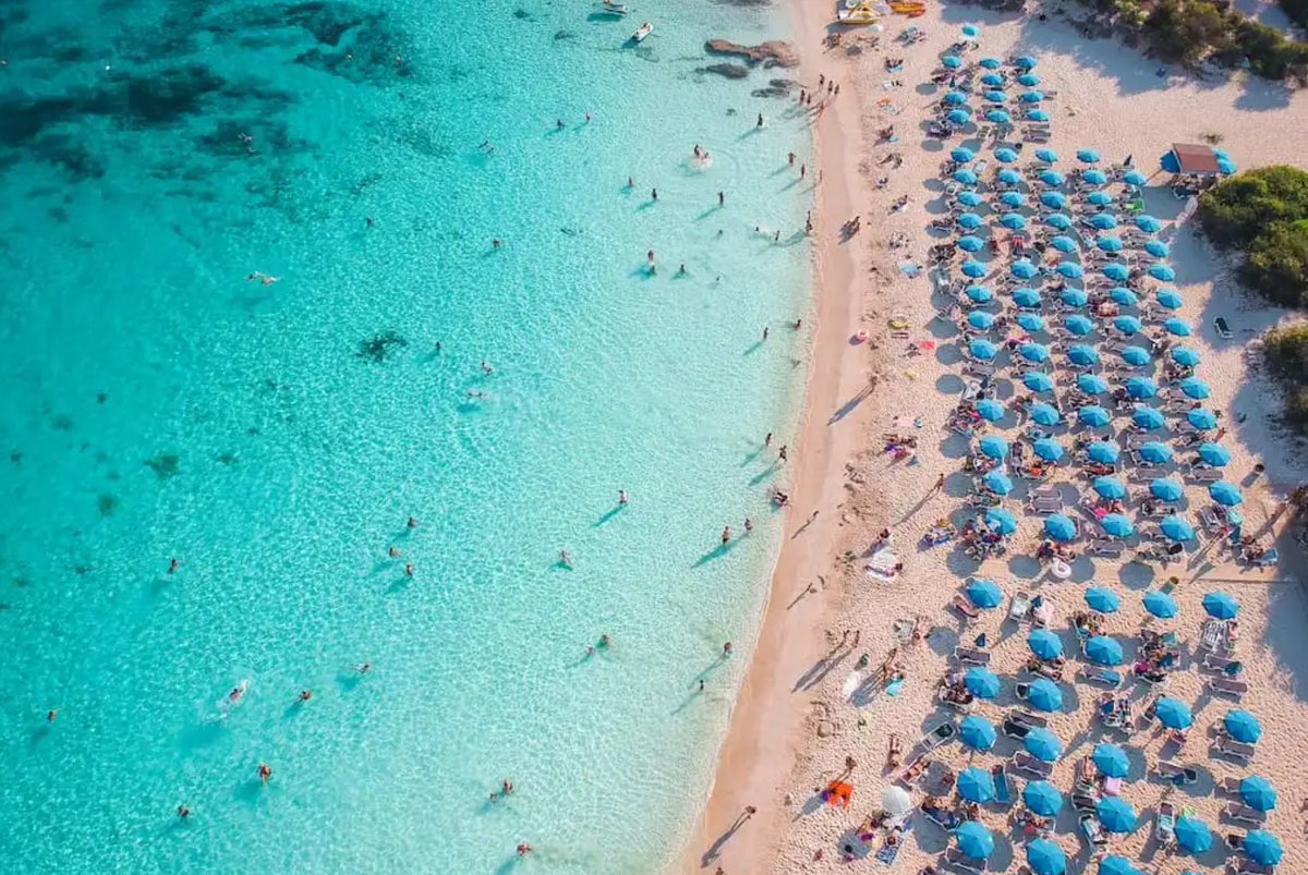 Alessandro Palombo tweet media