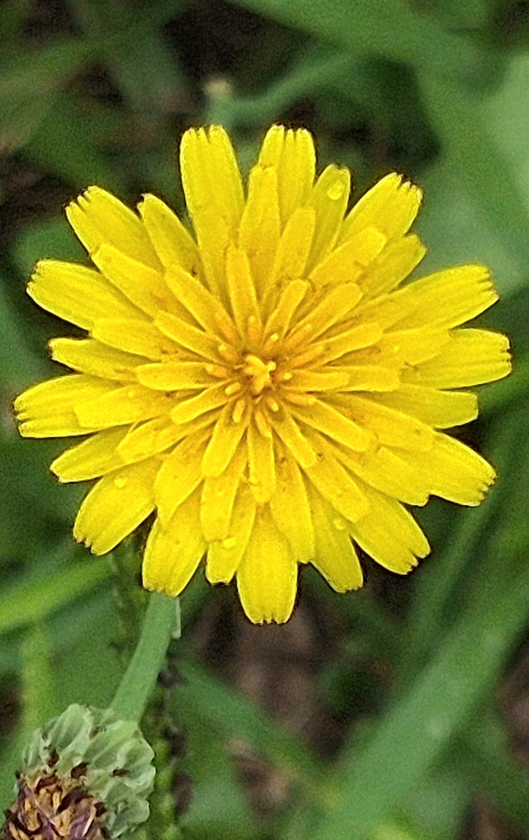 Ju 〽️ tweet media