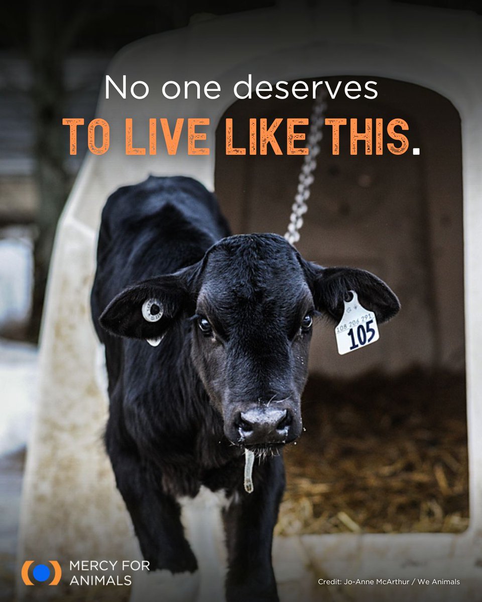 Kirk Lee Rhoads tweet media