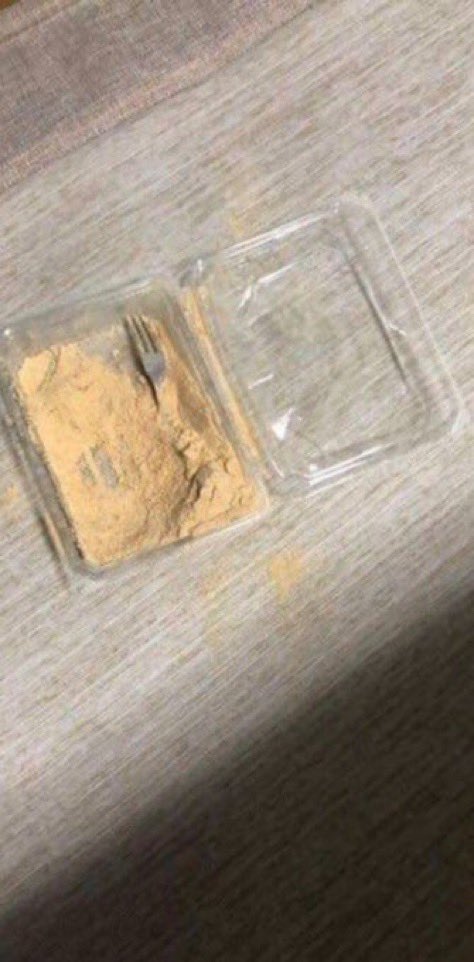 Cat is life ~猫は人生~ tweet media