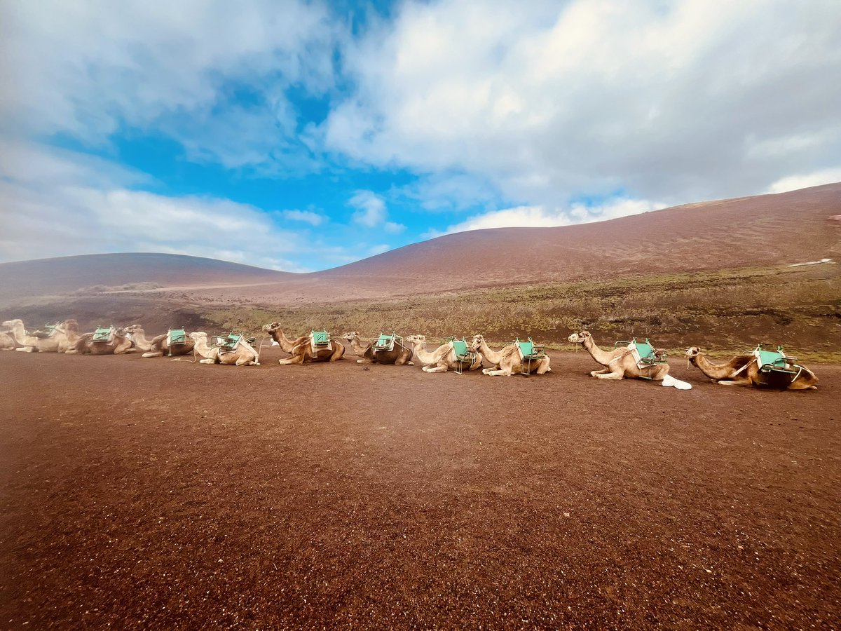 Yvonne Dwerryhouse tweet media