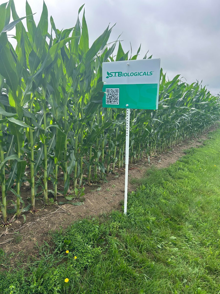 origmarketing's tweet image. We took things to the roots 🌱

Sometimes the best stories aren’t in a studio—they’re in the field.
👉 facebook.com/reel/158404194…

Do you need videography for your business? Contact OSM today! 👉 originsmartmarketing.com/contact-us/

#Videography #BehindTheScenes #OriginSmartMarketing