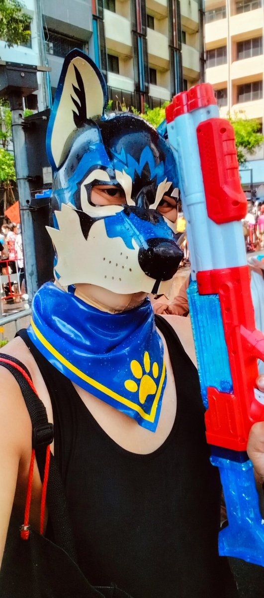 Ming Puppy BKK 🐾 tweet media