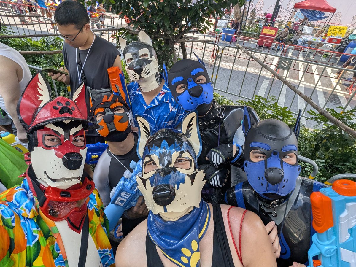 Ming Puppy BKK 🐾 tweet media