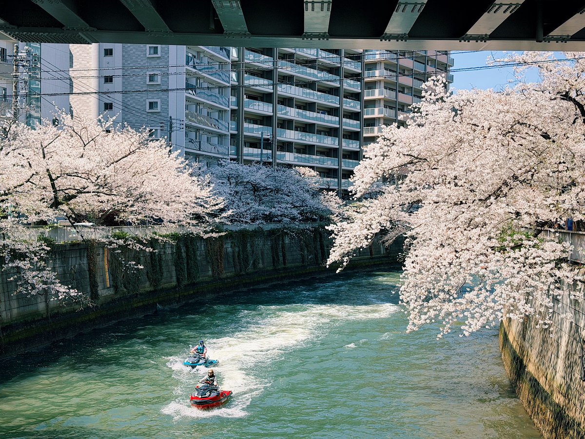 ferdalangurinn tweet media