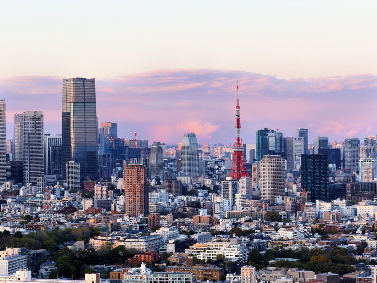 ferdalangurinn tweet media