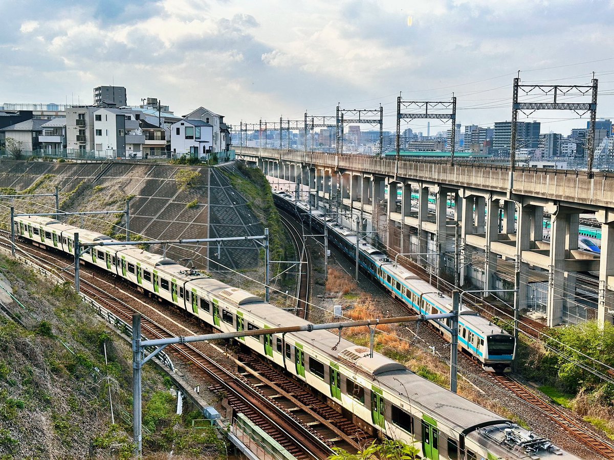 ferdalangurinn tweet media