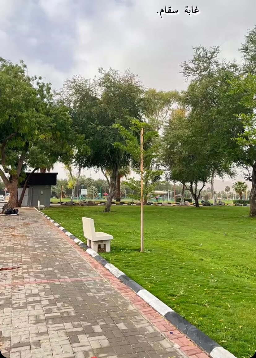 نـوره.♥︎ tweet media