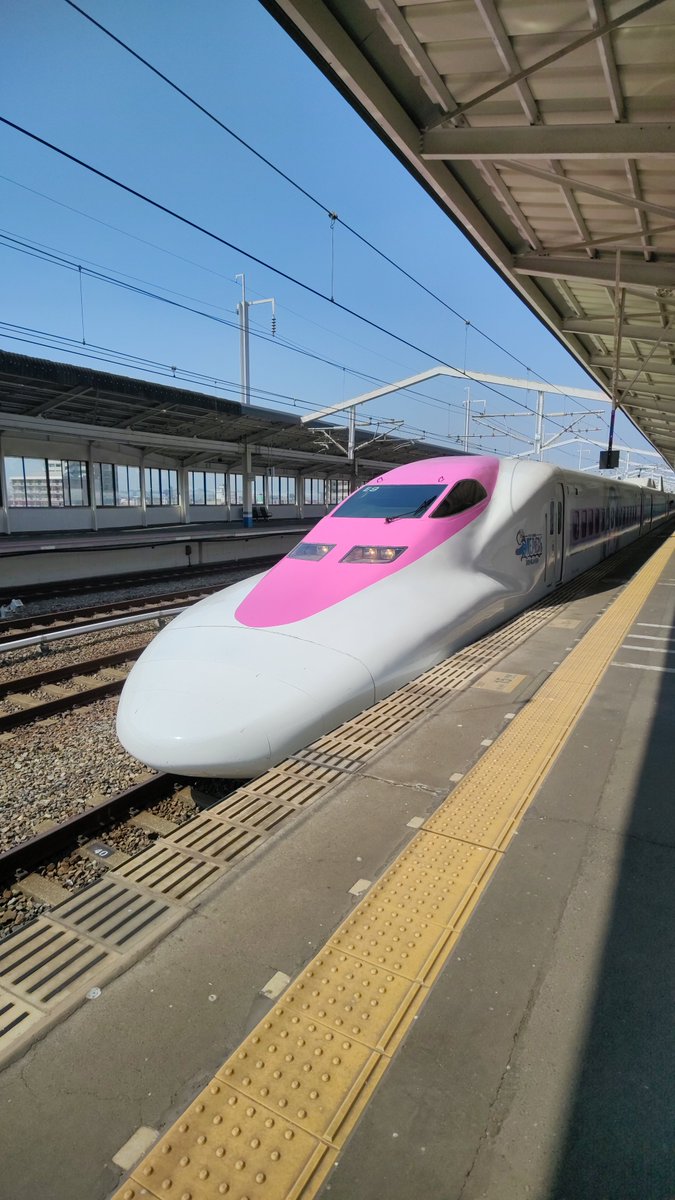 うらゆきさん(サンエク) tweet media