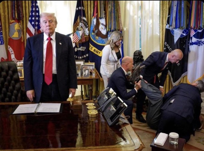 ThePatrioticBlonde🇺🇸 tweet media