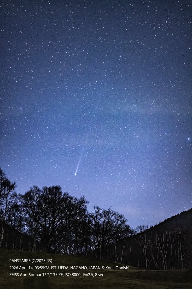 koujiohnishi's tweet image. #今日の星景写真 2026年4月15日 
パンスターズ彗星
撮影：2026/04/14 @上田市

薄明開始から10分後の #パンスターズ彗星
135㎜ワンショット
尾は10度前後(縦14°,横10°)

高度が上がるにつれ
(双眼鏡で)はっきり尾も見えて来るのに
薄明で急速に空に溶けてゆく

#PANSTARRS (C/2025 R3)
#長野県は宇宙県