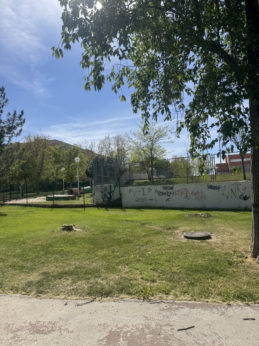 alvarogs08's tweet photo. @RocioGAlcantara te adjunto imágenes de cómo está: no podemos permitir esto. Parece una zona descuidada. Muy alejado de lo que sé que pretendéis hacer con nuestra ciudad! Muchas gracias. https://t.co/hDLaPg9pLC