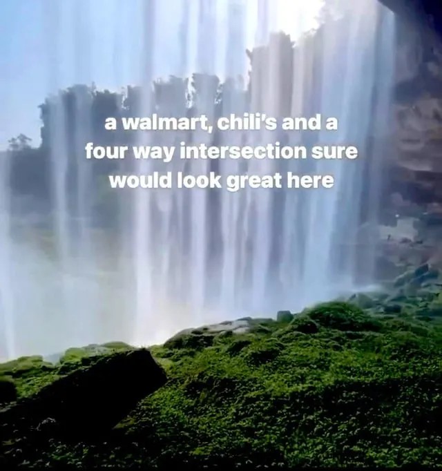 Benji (@benji_bacon) on Twitter photo 