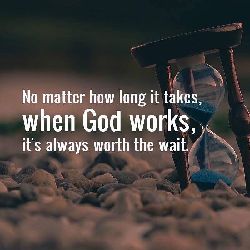 Nathan e Austin tweet media