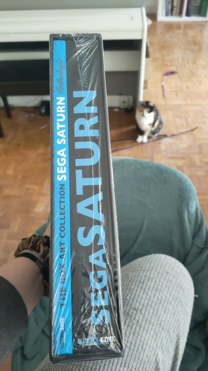 TheRealCerbere's tweet photo. Hop hop hop Anthologie Sega Saturn :)
#sega #segasaturn #retrogaming #geeksline https://t.co/sW43YtE9jK