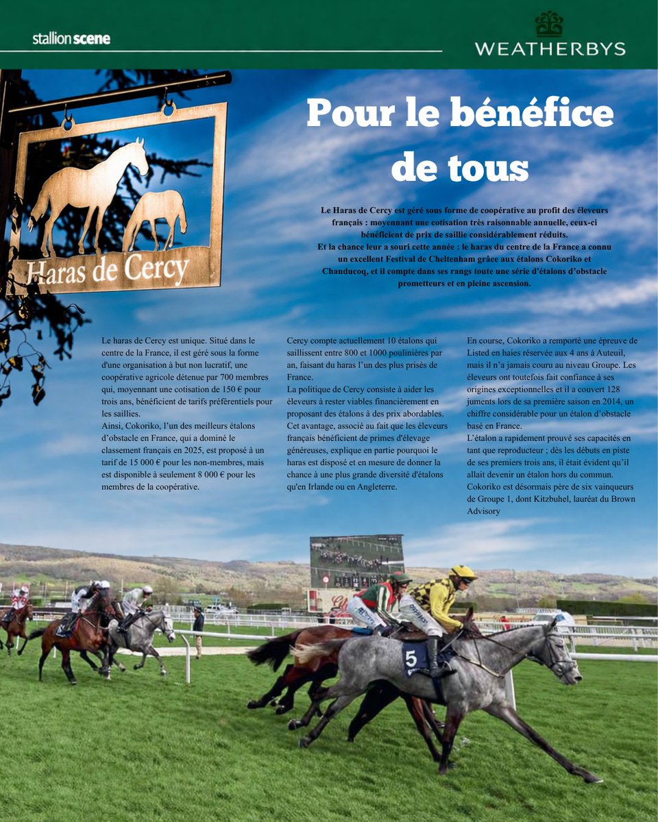Haras De Cercy tweet media