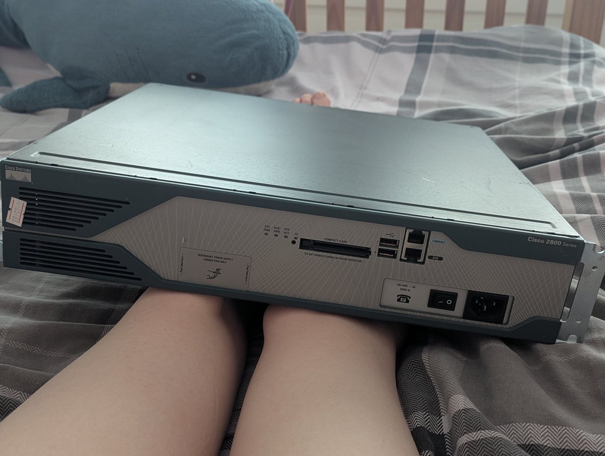 eden sneeden tweet media