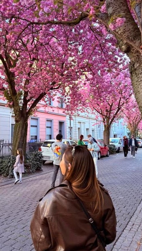 triiish. 🎀 tweet media