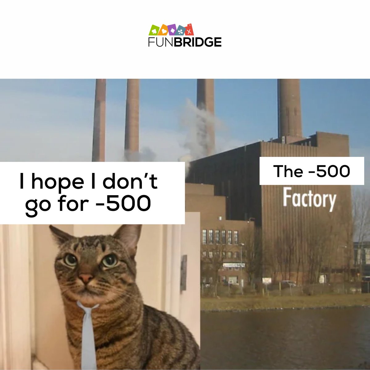 Funbridge tweet media