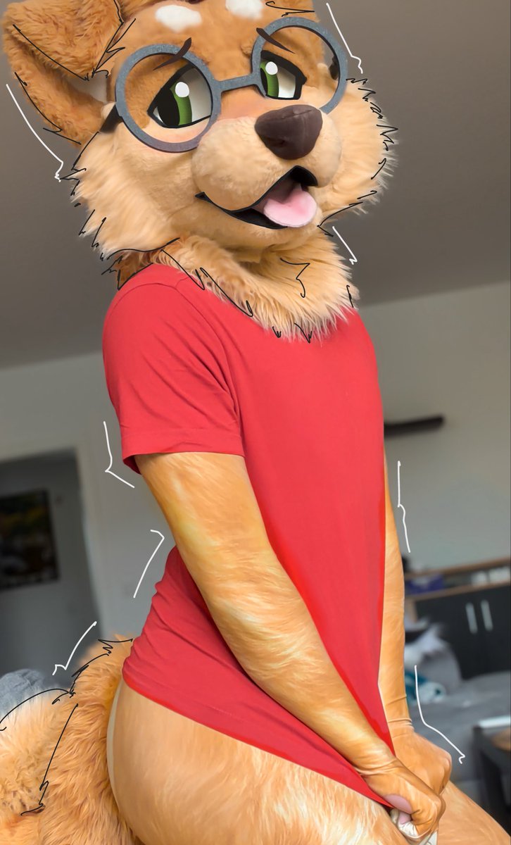 Max 🍞🐶 🔜 Ibercon (goh) 🇪🇸 tweet media