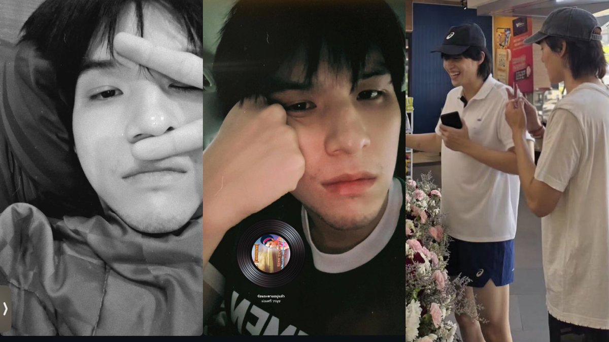 meow 😽 tweet media