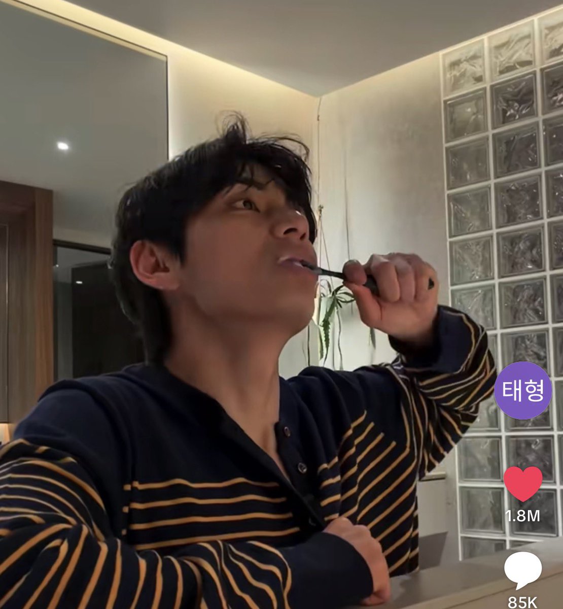 BACK THE SOUL 🪭 🦋 tweet media