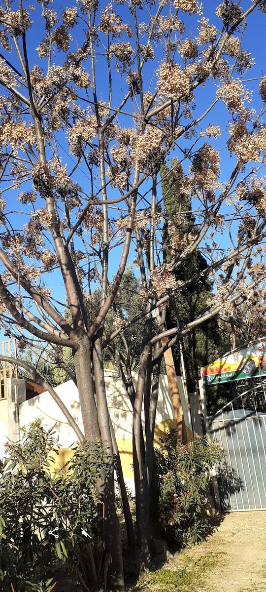 من يدرّب عينه على التقاط العيوب فقط… سيفقد القدرة على رؤية الجمال...
اختر نظرتك… فهي التي تصنع مكانك بين الناس.....
              #مساء_الخـير 🌸