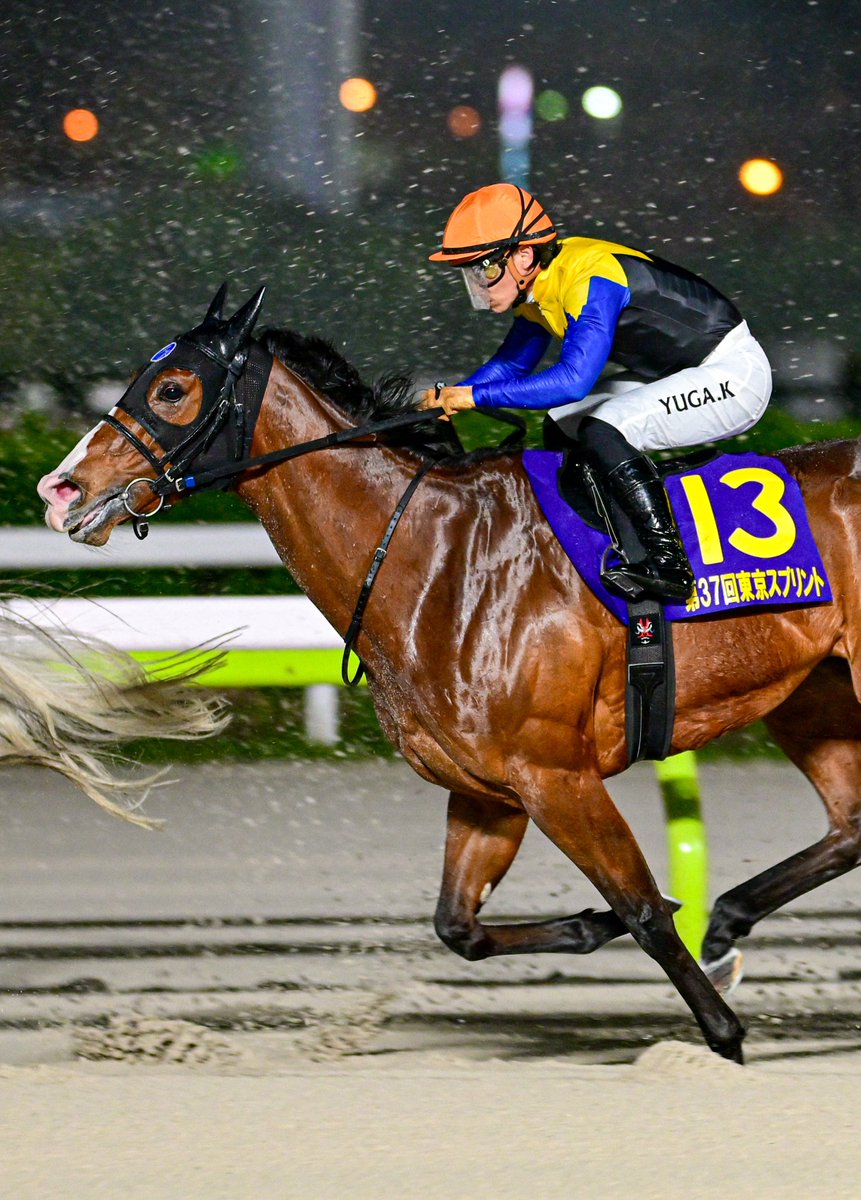 うなちまる tweet media